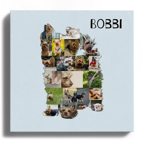 Hunde-Fotocollage "Yorkshire Terrier" erstellen. Eigene Fotos, Namen und Texte.