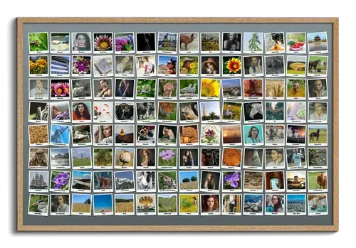 Erstelle deine einzigartige Polaroid-Collage mit 100+ Fotos und individuellen Texten!