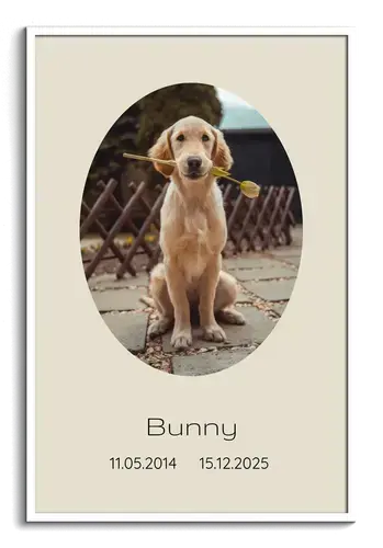 Trauer-Collage Hund mit Einzelbild, Namen & Daten