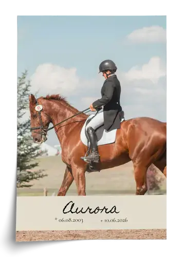 Gedenkposter Pferd mit Foto, Name und Lebensdaten