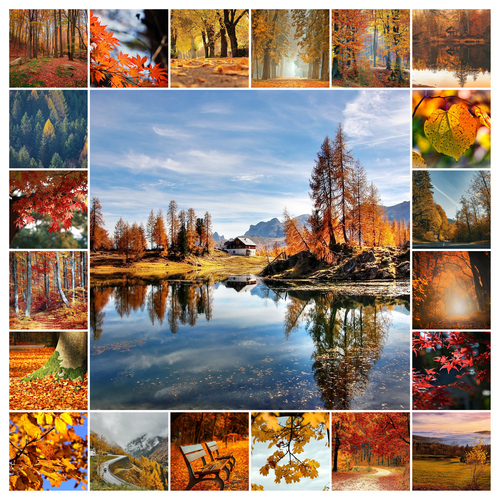 Jahreszeiten-Fotocollage jetzt erstellen – Natur, Landschaft & Tiere im Premiumdruck