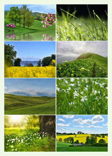 Jahreszeiten-Fotocollage jetzt erstellen – Natur, Landschaft & Tiere im Premiumdruck