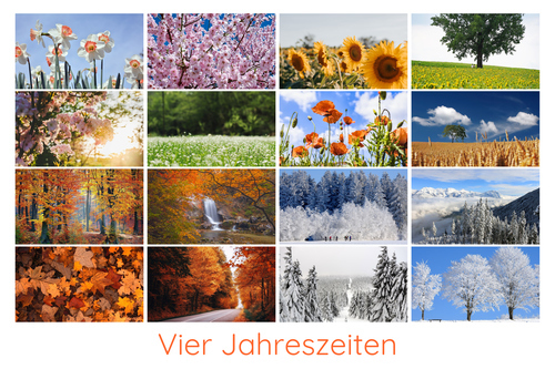 Jahreszeiten-Fotocollage jetzt erstellen – Natur, Landschaft & Tiere im Premiumdruck