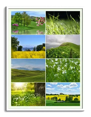 Natur-Collagen: Jahreszeiten im Premiumdruck