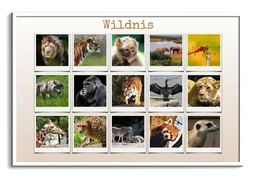 Polaroid-Collage: Tiere in der Natur und Wildnis