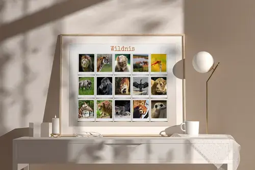 Polaroid-Collage: Tiere in der Natur und Wildnis