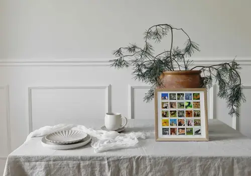 Polaroid-Collage: Tiere in der Natur und Wildnis