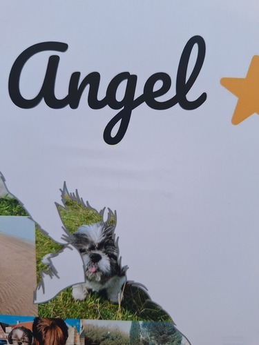 Kundenfoto von Annabel für Bewertung Druck Fotocollage Poster 30x30cm