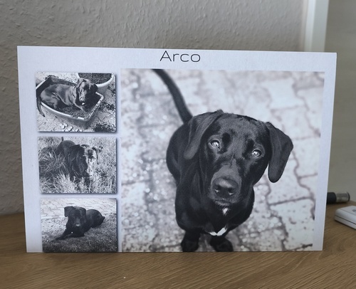 Kundenfoto von Christiane für Bewertung Druck Fotocollage Hartschaum 30x20cm