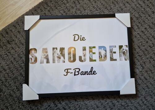 Kundenfoto von Frances Monique für Bewertung Druck Fotocollage Poster gerahmt (holz, schwarz) 40x30cm