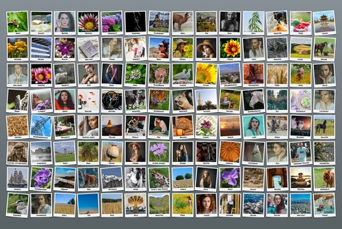Fotocollage erstellen mit hundert 100 bildern mit Polaroid Fotos
