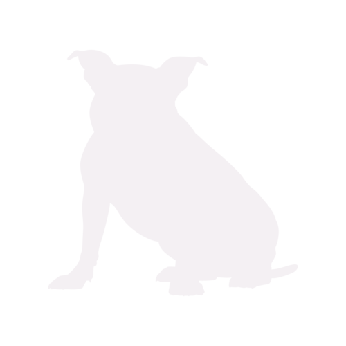 Hundesilhouette American Bully sitzend