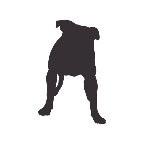 Hundesilhouette American Bully stehend