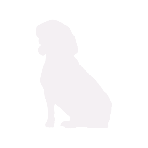 Hundesilhouette Beagle sitzend