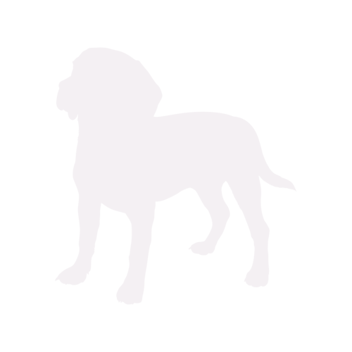 Hundesilhouette Beagle stehend