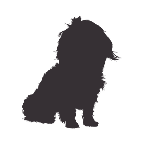 Hundesilhouette Bolonka Zwetna sitzend