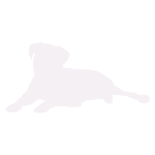 Hundesilhouette Boxer sitzend