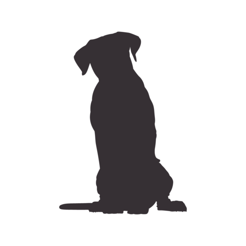 Hundesilhouette Cane Corso sitzend