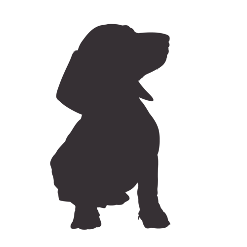 Hundesilhouette Dackel sitzend
