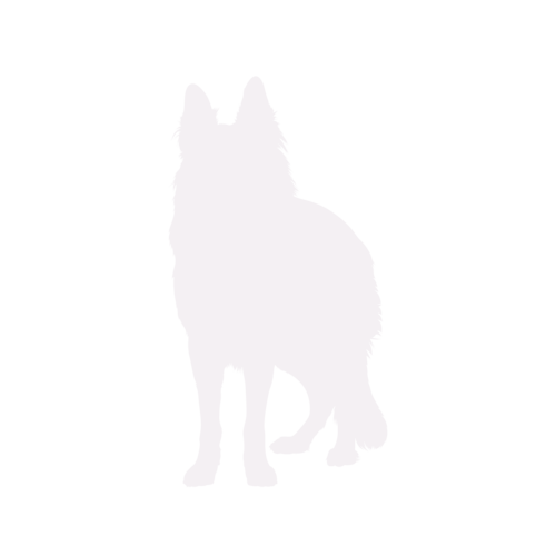 Hundesilhouette Deutscher Schäferhund stehend