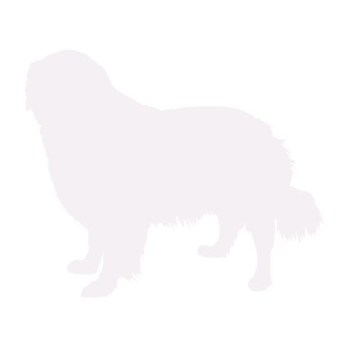 Hundesilhouette Golden Retriever stehend