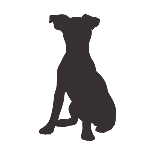 Hundesilhouette Jack Russell Terrier sitzend