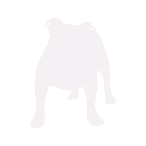Hundesilhouette Old English Bulldog stehend