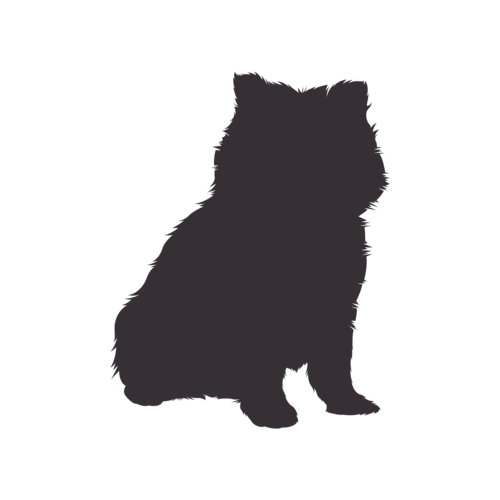 Hundesilhouette Pomeranian sitzend