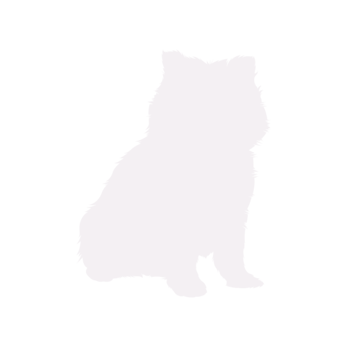 Hundesilhouette Pomeranian sitzend