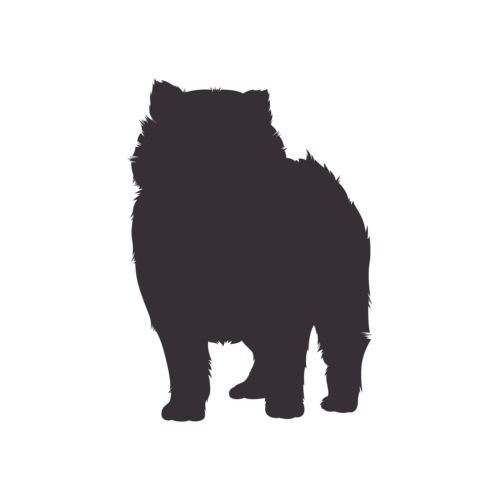Hundesilhouette Pomeranian stehend