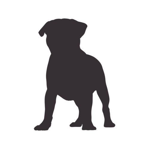 Hundesilhouette Mops stehend