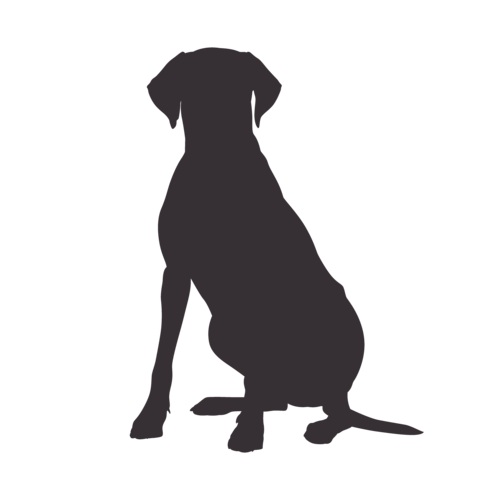 Hundesilhouette Rhodesian Ridgeback sitzend