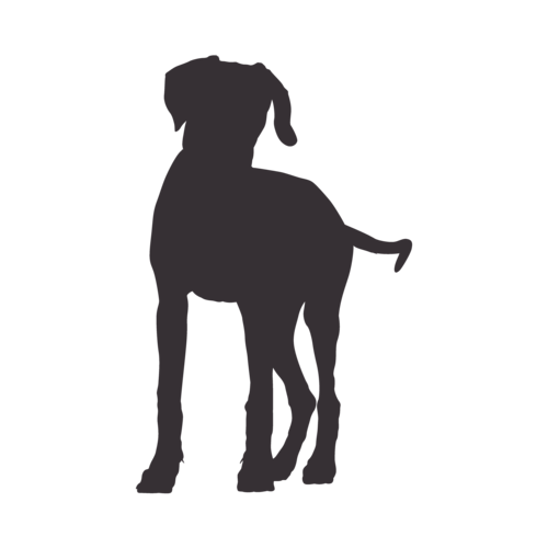 Hundesilhouette Rhodesian Ridgeback stehend