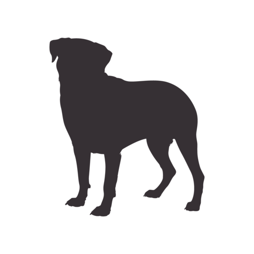 Hundesilhouette Rottweiler stehend