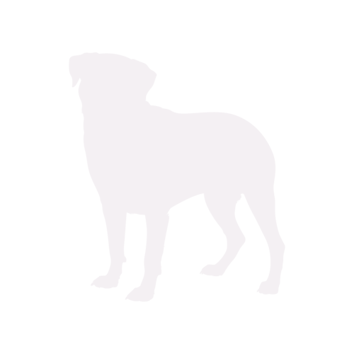 Hundesilhouette Rottweiler stehend