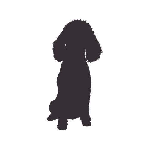 Hundesilhouette Zwergpudel sitzend
