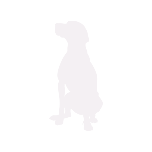 Hundesilhouette Magyar Vizsla sitzend